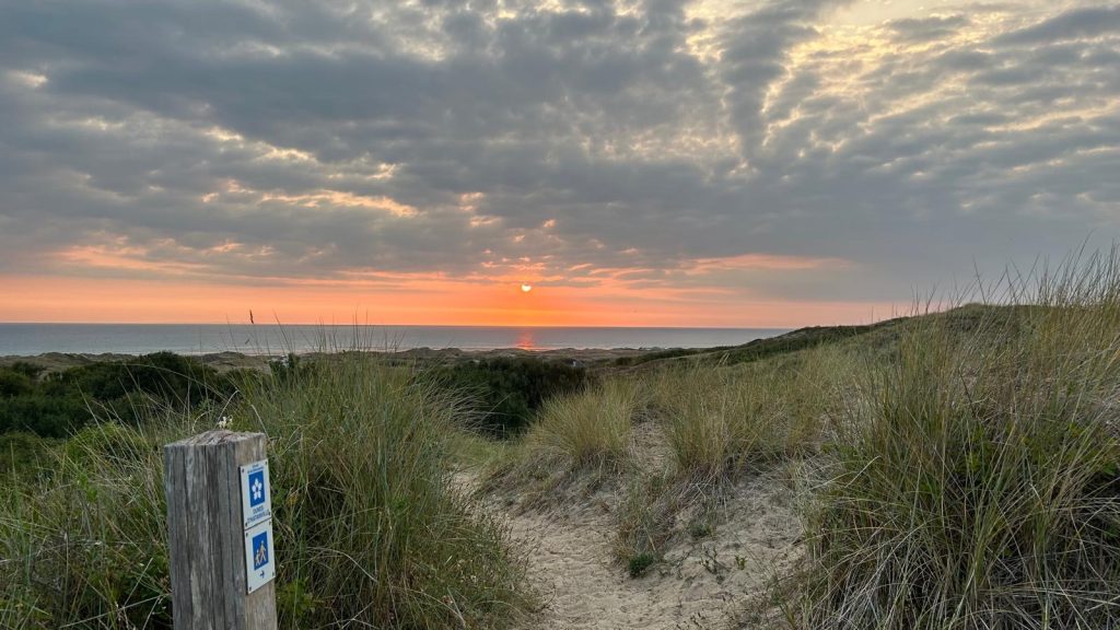 590b30c6 955e 4828 b36d f6728c0b43b0